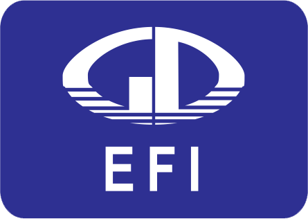 cổ phiếu EFI